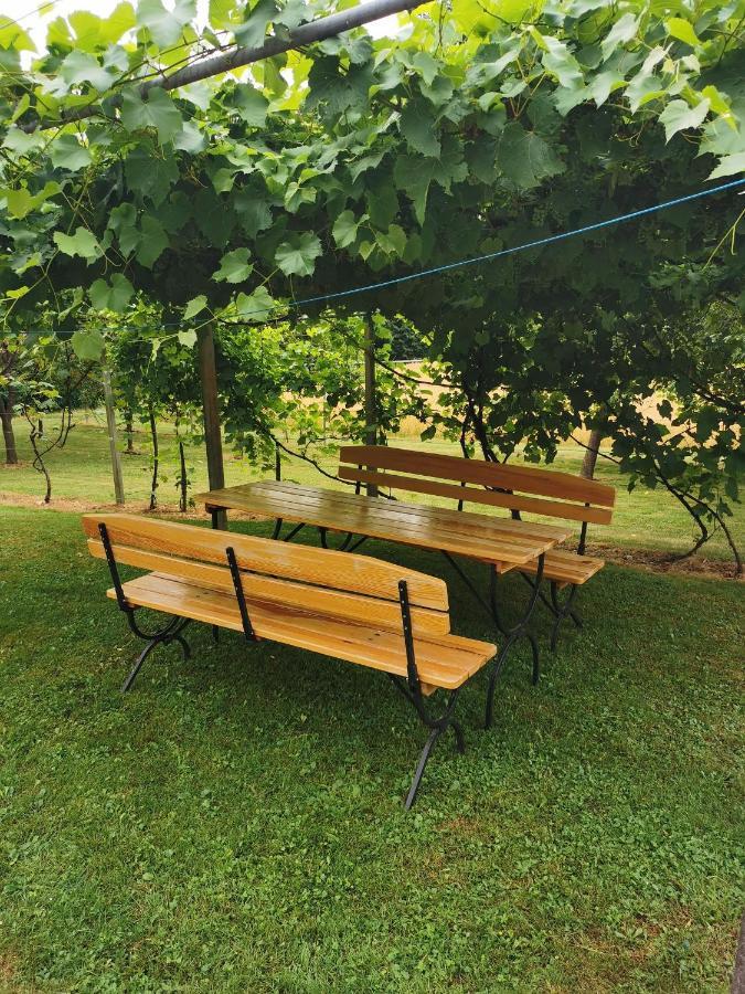 Urlaub Fuer Die Seele - Erholung Pur In Der Natur - Ferienhaus Mit Infrarotkabine & Relax-Raum Rucmanci Exterior photo